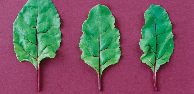 ­­­­Meaningful Makeovers Part III – Toni eats for her life