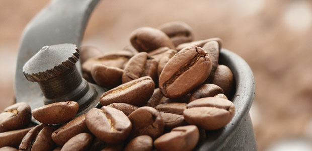 Coffee, Tea, or Chocolate