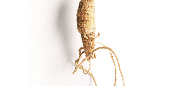 Ginseng
