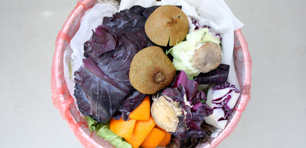 How Do We Feed the World’s Hungry? By Reducing Food Loss, New Study Suggests