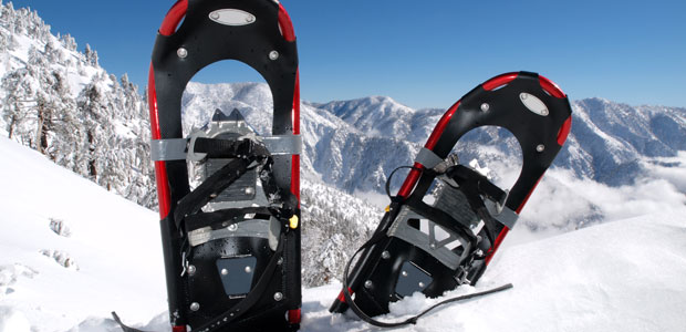 Go Snowshoeing!