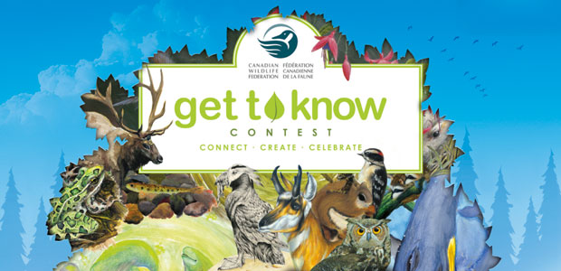 Get to Know Your Wild Neighbours with Robert Bateman Contest