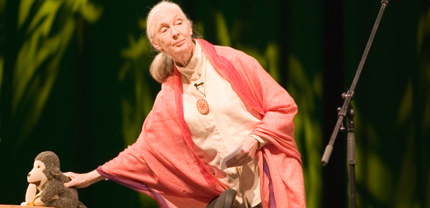 Wildlife Wednesday: Jane Goodall Sows Seeds of Hope