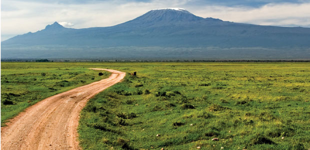 Elevating Natural Health