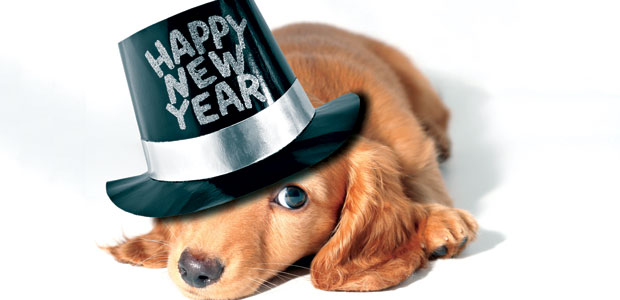 New Year’s Furry Resolutions