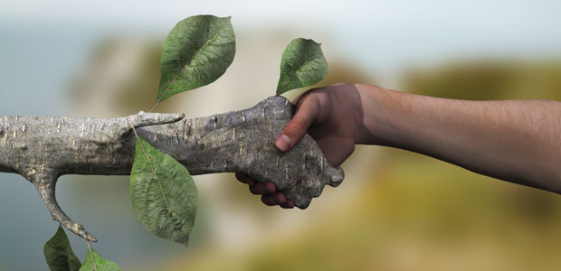 Ways You can Help Clean Up the Earth