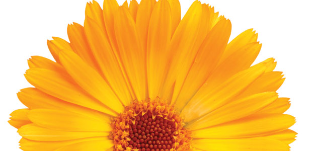 Find Relief from Eczema and Psoriasis