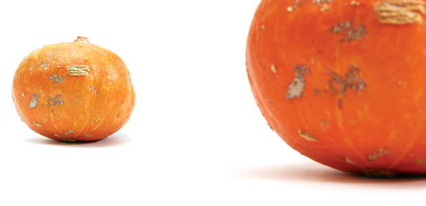 Repelling Insulin Resistance