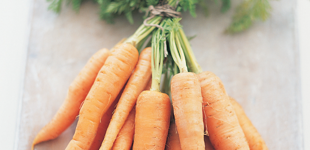 Festival of Carrots!