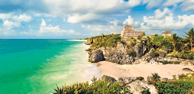 The Greening of the Yucatan