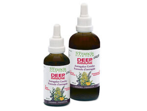 EchinaSeal - Echinacea Combo