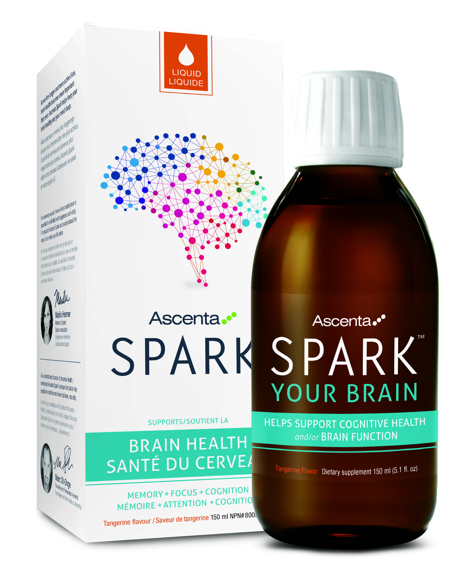 Spark your brain with Ascenta Spark!