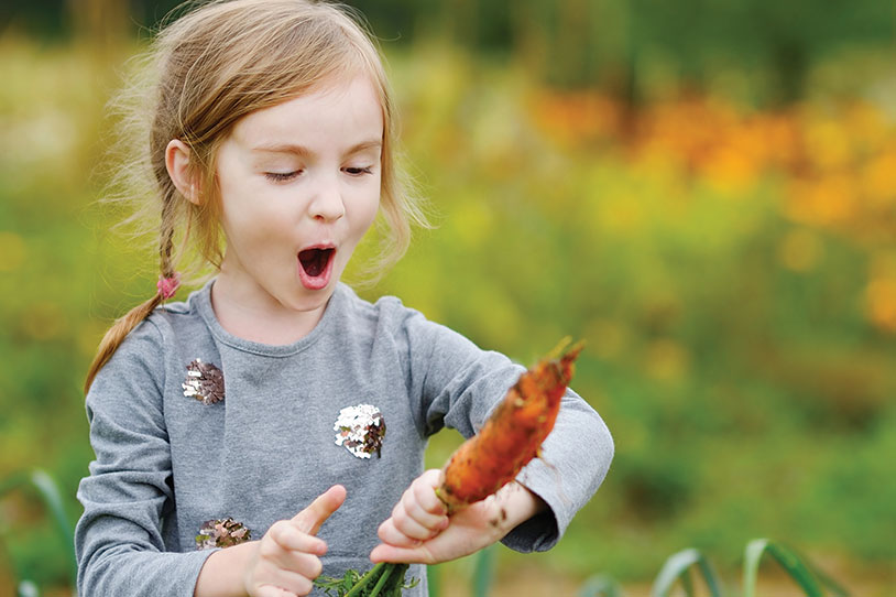 Natural Sun Protection