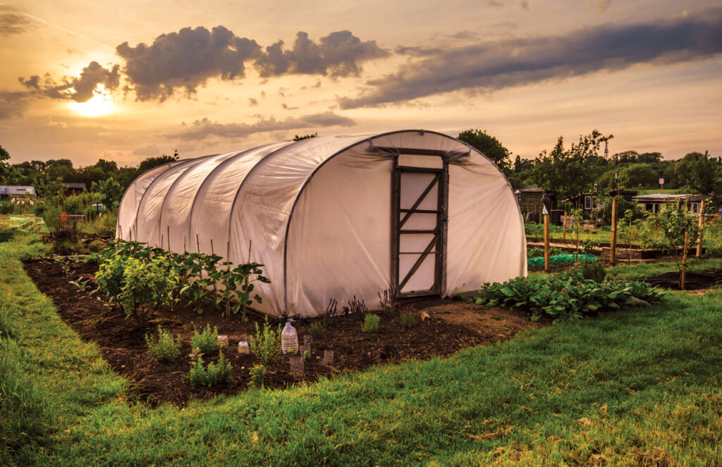 Organic and Biodynamic Farming