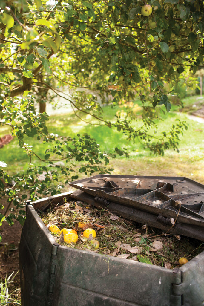 Dishing Up the Dirt About Compost