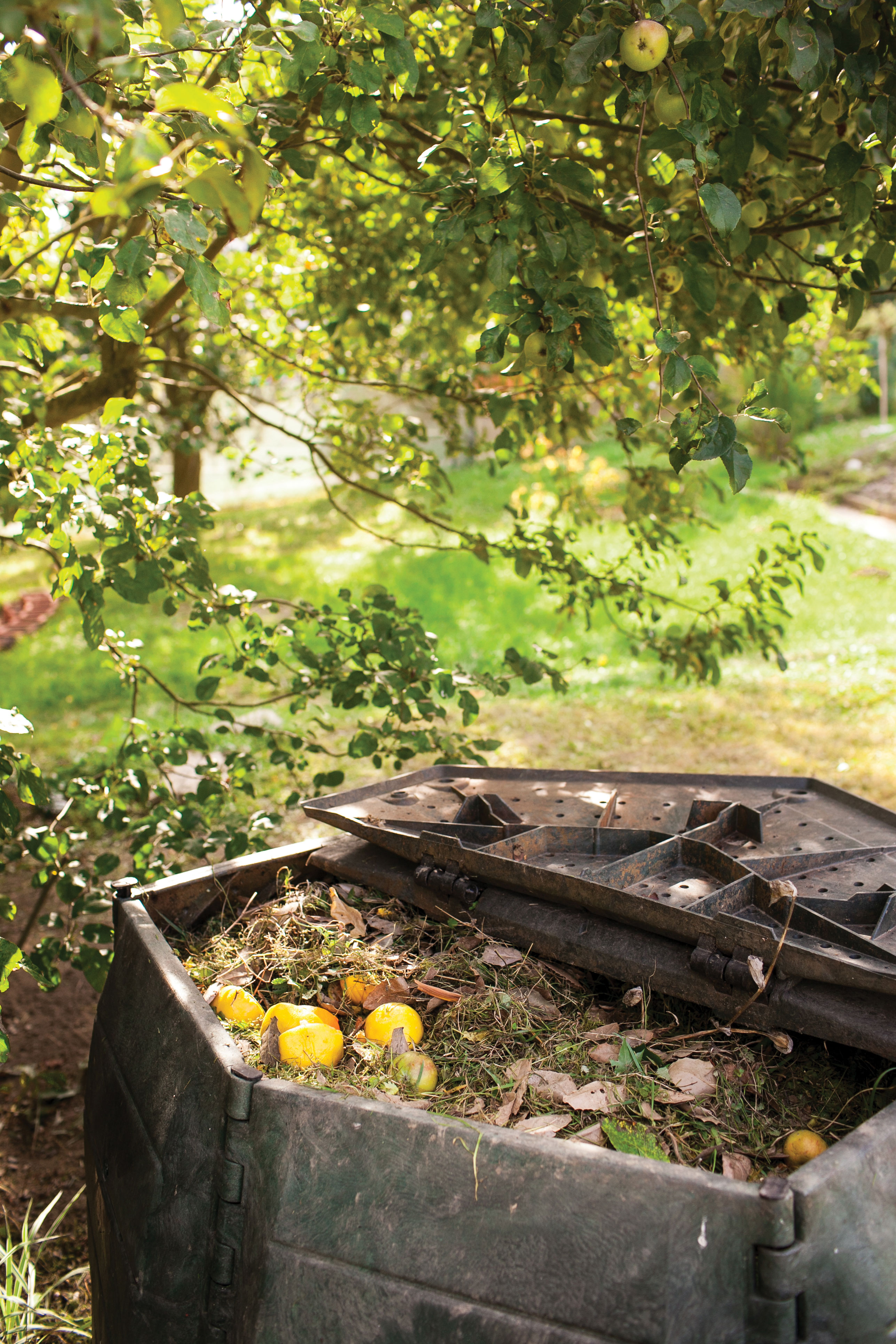 Dishing Up the Dirt About Compost