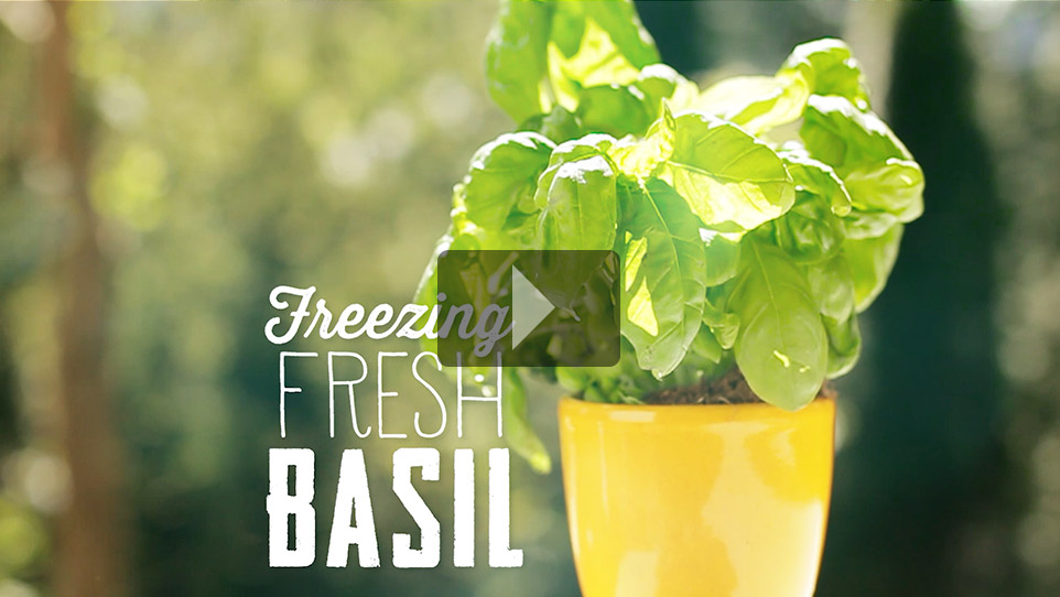 Freezing Fresh Basil