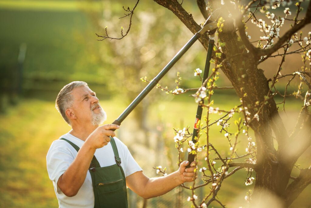 Effective Natural Joint Pain Relief