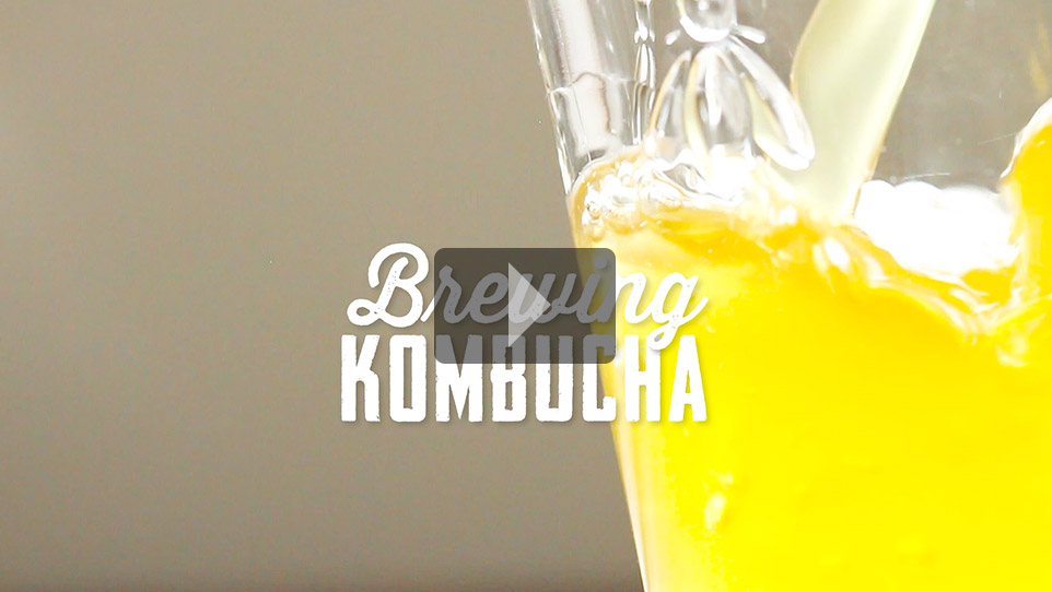 Food tips: Brewing Kombucha