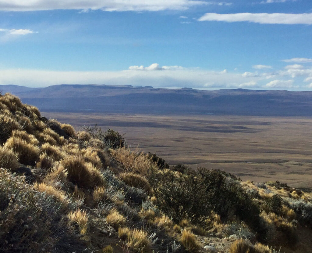 Out to (Vegan) Lunch?