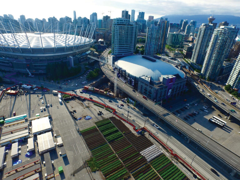 Soul Food in the City