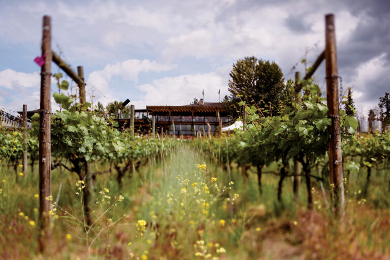 Say Cheers to Drinking Organic