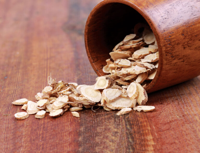 Cancer and the Immune System