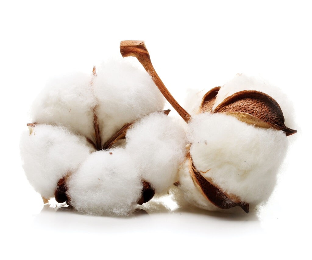 Feminine Products? Go Organic