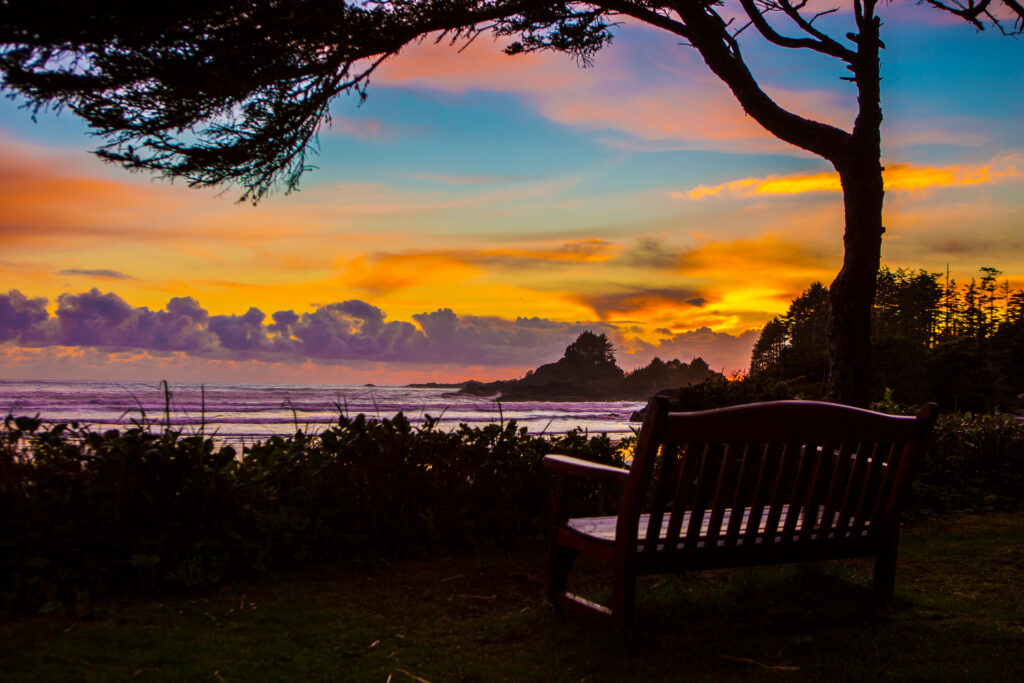 Escape to the Wild Side