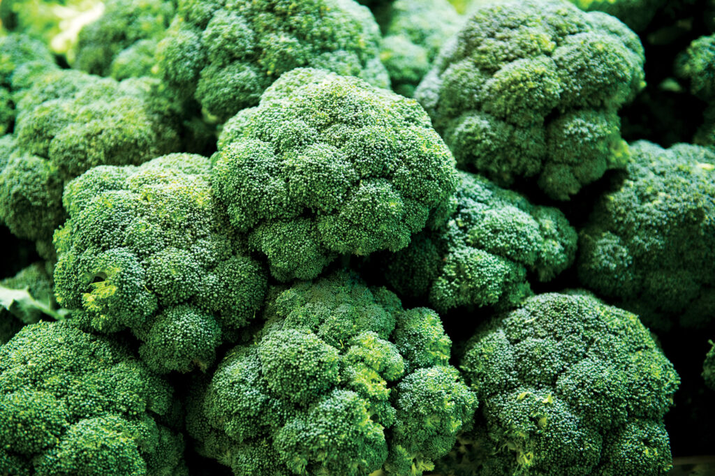 Did You Eat All of Your Broccoli?