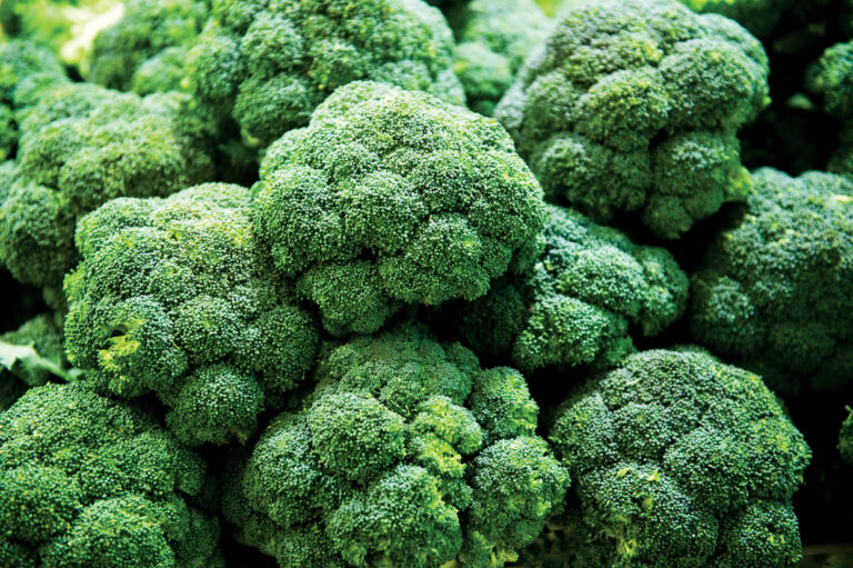 Did You Eat All of Your Broccoli?