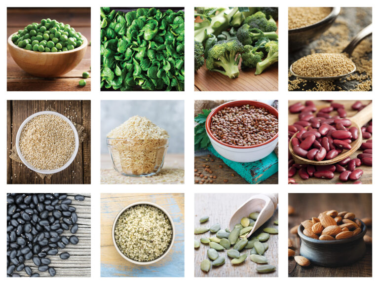 Vegan Protein Cheat Sheet