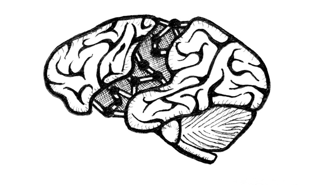 Neuroplasticity Stretches Brainpower