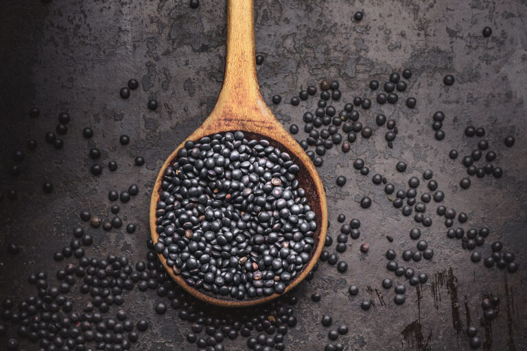 Plant Protein Primer