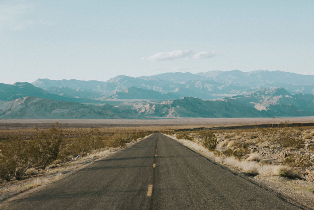 The Ultimate Vegan Road Trip