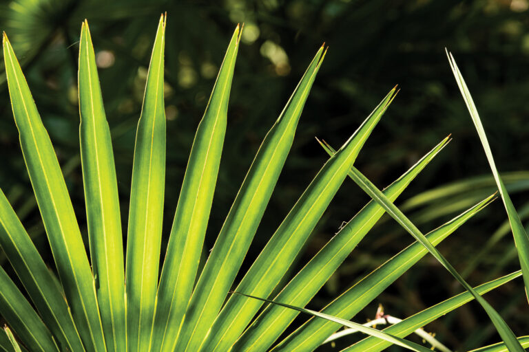 Is His Enlarged Prostate Killing the Mood?