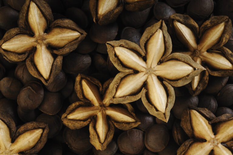 Shining a Light on Some Superfood Stars