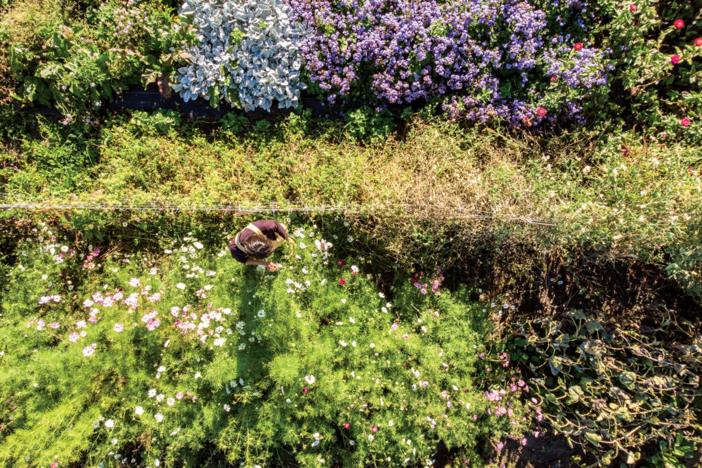 Organic Blooms For Your Beloved