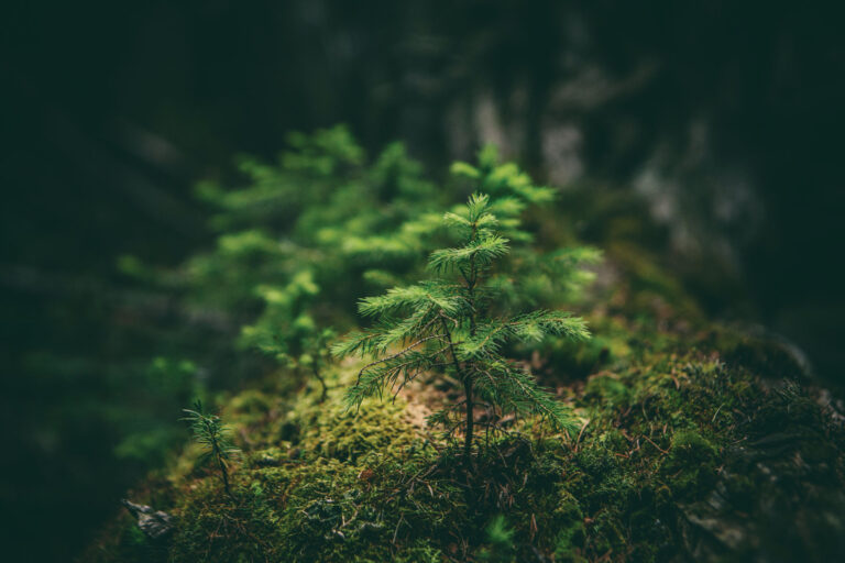 Clothing For People and the Planet