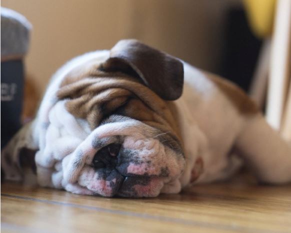 This is your brain on no sleep