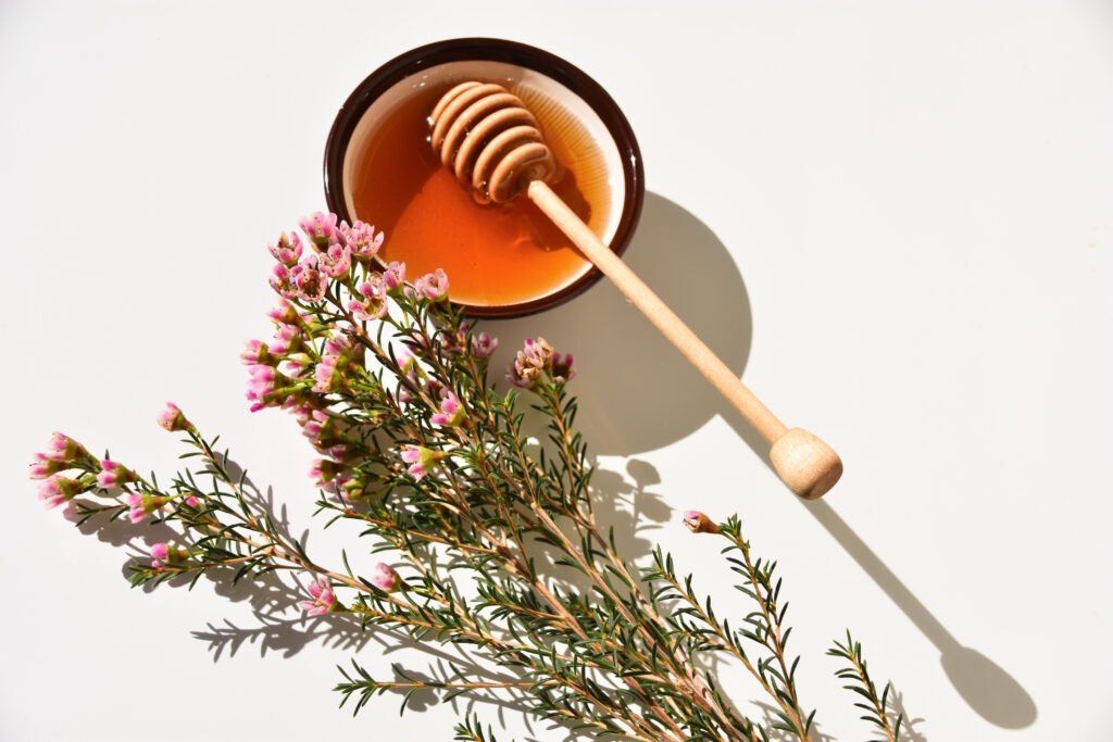 What You Need to Know About Manuka Honey’s Immunity Benefits