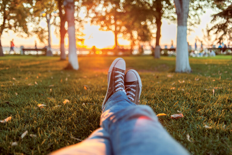 Rewilding Urban Spaces