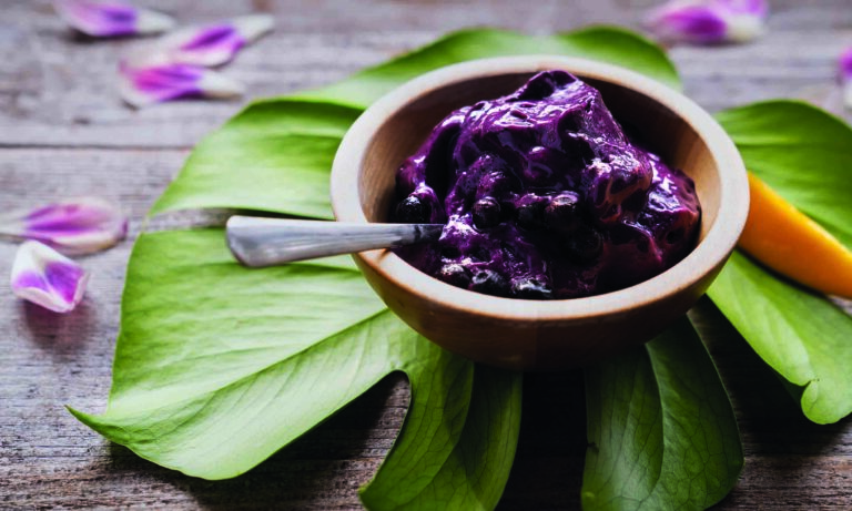 Supplement Your Day: Blueberry and Mango Protein Ice Cream