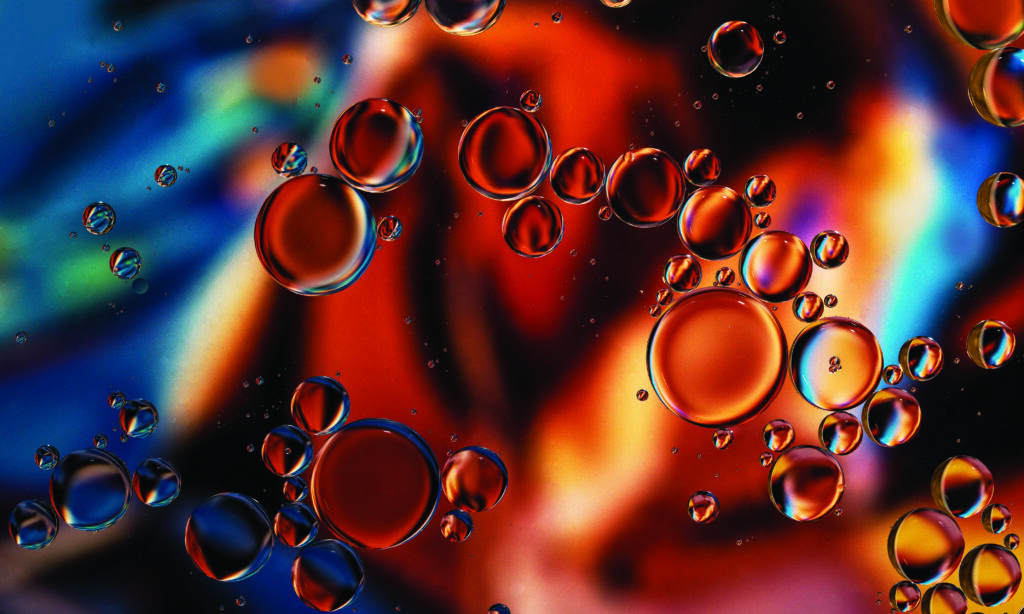 Hempseed Oil vs CBD Oil