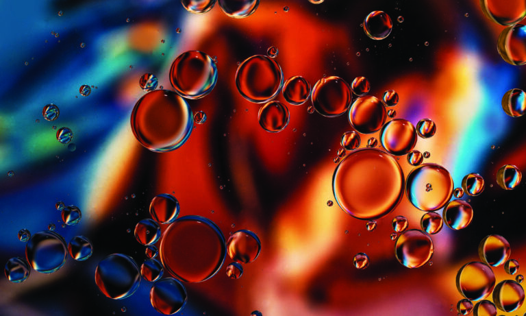 Hempseed Oil vs CBD Oil