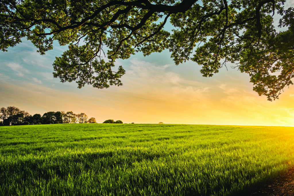 The Gift I Never Expected