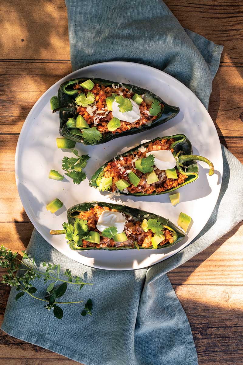 Turkey Enchilada Stuffed Poblano Peppers