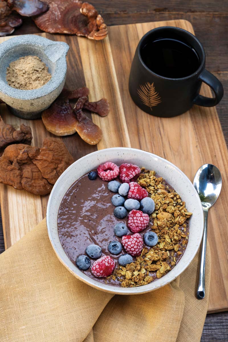 Cocoa Reishi Smoothie Bowl