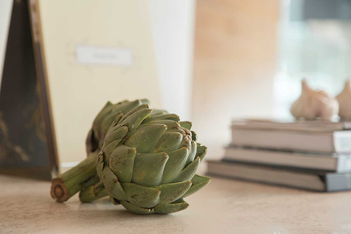 Feeding Metabolic Detox