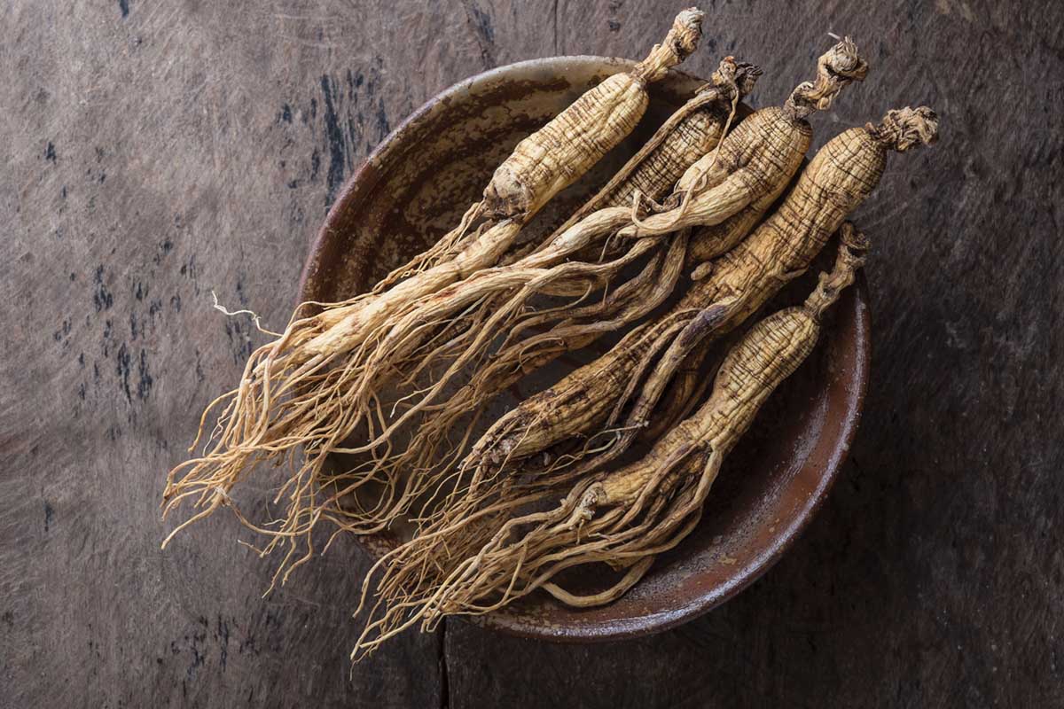 Getting to the Heart of Circulation